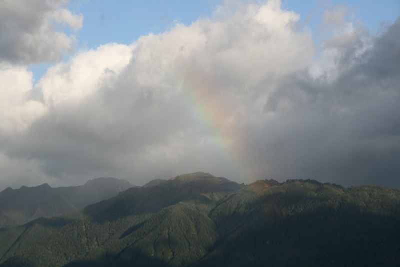 Nieuw-Zeeland 2011 - 1677